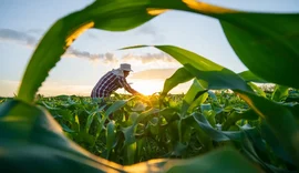 MP de dívida rural foca em perdas climáticas, diz Durigan
