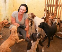 A luta para manter o maior abrigo de animais de todo o norte nordeste