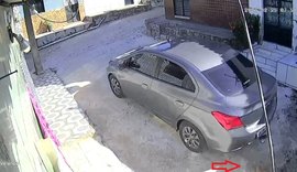 Homem que atropelou cadela em Maceió se apresenta à polícia