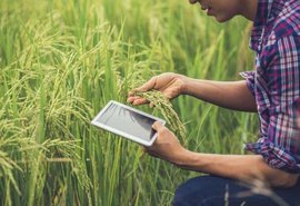 O uso da tecnologia na agricultura para redução de gastos