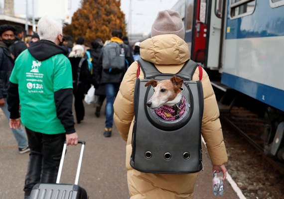 Grupo de 47 ucranianos chega ao Brasil em acolhida humanitária