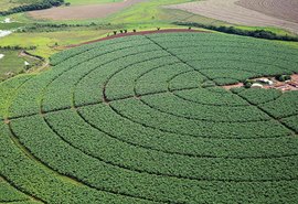 IBGE prevê safra recorde de 264,9 milhões de toneladas de cereais