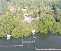 Substâncias tóxicas são encontradas no Rio Tatuamunha após morte de peixes-boi