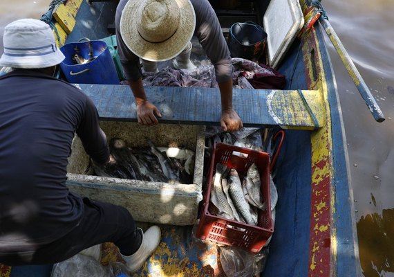 Pescadores beneficiados pelo seguro-defeso recebem 6º lote nesta terça-feira