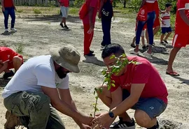 Sócios Kids do CRB plantam 60 mudas de árvores no CT Ninho do Galo