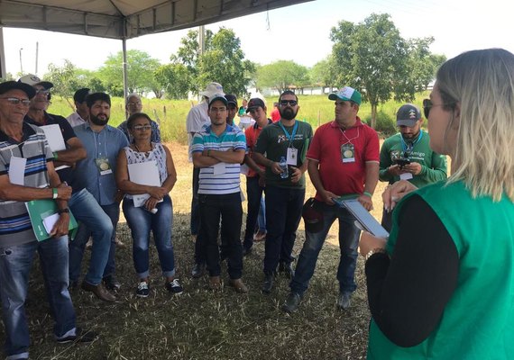 CPLA incentiva o crescimento dos produtores do semiárido alagoano