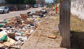 Ação da Prefeitura recolhe 85 toneladas de resíduos e planta 120 mudas de árvores no bairro da Ponta Grossa