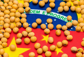 Brasil e China discutem inspeção da soja após queda nas negociações