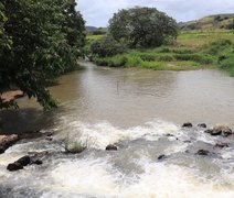 Preservação ambiental e sustentabilidade: o compromisso do setor sucroenergético de Alagoas