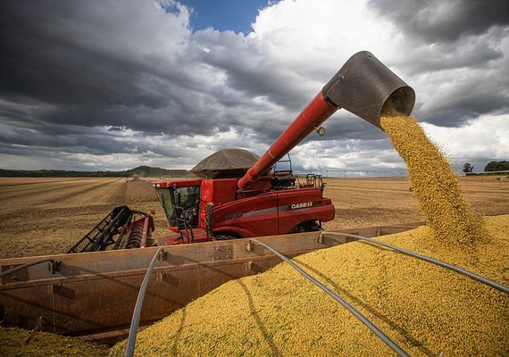 Exportação de soja no Brasil bate recorde em março