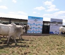 Pecuária alagoana se destaca e Associação Brasileira de Criadores de Zebu promove dia de campo no estado