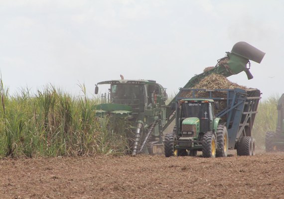 Usinas ultrapassam 13,5 mi de toneladas de cana processadas