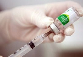 Palmeira está entre os 27 municípios que ultrapassaram meta  vacinal contra a Influenza