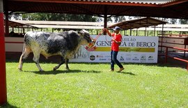 7º Genética de Berço é oportunidade para melhorar performance do rebanho