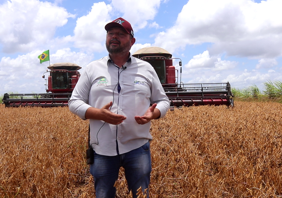 Produtores apostam no potencial da soja em AL