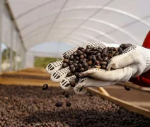 Cooperativismo lidera discussões sobre produção sustentável de café no país