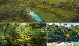 ﻿Alagoas se destaca entre destinos para quem busca contato com a natureza