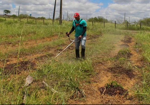 Pesquisa da Ufal fortalece a agricultura familiar em Arapiraca