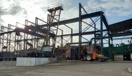 Cooperativa no Vale do Satuba bate recorde de produção na safra de cana-de-açúcar