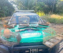 Polícia Militar apreende aves silvestres, armas e armadilhas de caça em Porto de Pedras