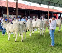 Pista de julgamento da Expoalagoas Genética destaca funcionalidade das raças