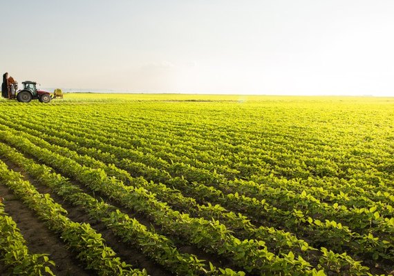 Banco do Brasil faz circuito virtual para ofertar crédito rural