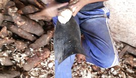 Relatório do MTE aponta mais 100 autos de infração em casas de farinha