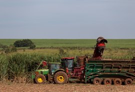 Presidente da Asplana aposta no otimismo para a safra 20/21