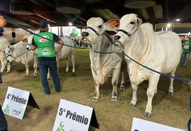 Associação dos Criadores faz balanço positivo da75ª Expoagro-AL