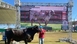 Calendário de eventos da 73ª Expoagro Alagoas está mais fortalecido