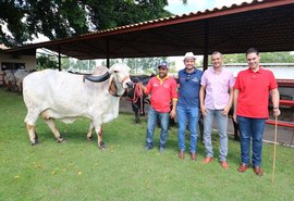 Agricultura familiar terá condições especiais  no 3º Leilão Genética de Berço