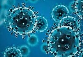 Arapiraca registra mais 725 casos positivos de Covid-19 na última semana epidemiológica