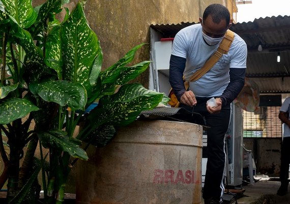 Maceió realiza mutirão contra a dengue e deve realizar 24 mil visitas em dois dias