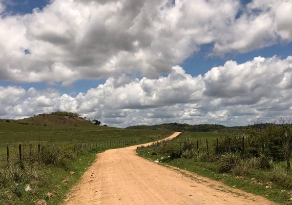 Governo autoriza implantação de rodovia que ligará Murici a Capela na segunda (2)