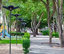 Consulta pública define diretrizes para arborização urbana em Alagoas