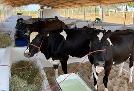 41ª Expo Bacia Leiteira acontece de 11 a 15 de setembro em Batalha