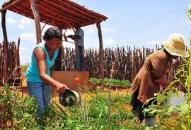 Agroamigo do BNB contratou R$ 417 milhões somente em Alagoas, alta de 50%