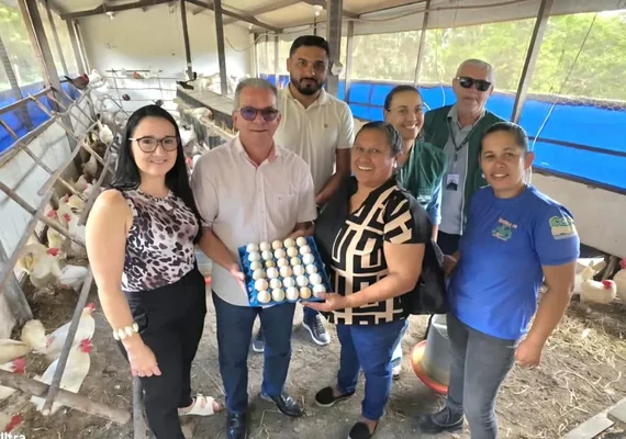 Arapiraca fortalece inspeção sanitária e garante qualidade na produção de ovos