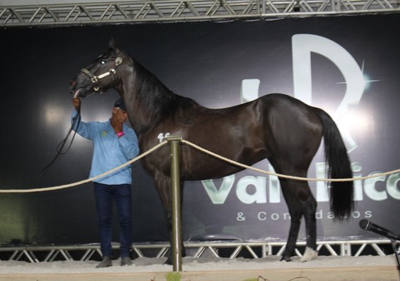 3º Leilão Vale Rico fatura R$ 6,3 mi e bate o recorde do ano