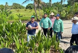 Avanço do diesel cooprocessado é considerado ameaça para a agricultura familiar