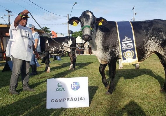 Exposição do Girolando vai atrair produtores para a Expoagro-AL 2023
