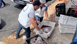 400 kg de produtos estragados são apreendidos em frigorífico de Maceió