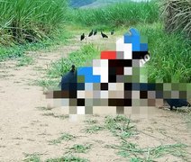 Corpo em estado de decomposição é encontrado na zona rural de Matriz