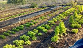 Agricultores são atendidos pela Emater às margens do Canal do Sertão