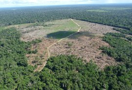 Ibama e AGU bloqueiam bens de pecuarista por danos na Amazônia