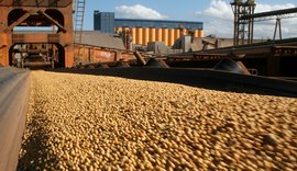 Exportações do agronegócio tiveram queda de 9,4%