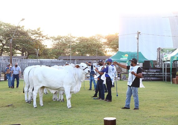 Expoagro 2020 deve bater recorde em negócios