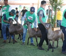 75ª Expoagro-AL terá programação para todas as cadeias produtivas; confira