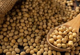 Exportações do agronegócio atingiram 8,82 bi de dólares