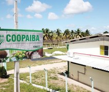Coopaiba mantém ritmo industrial e estoque de 50 toneladas em Piaçabuçu